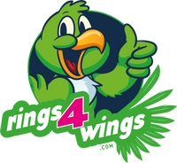 Rings 4 Wings